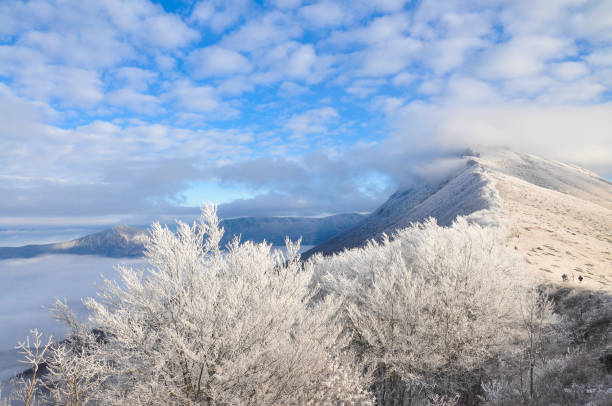 Beautiful winter background