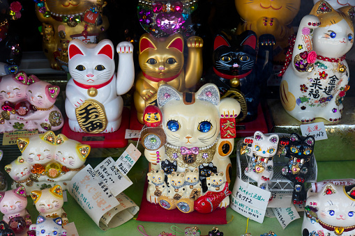 Kyoto, Japan - May 18, 2017: Variety of traditional Manekineko, lucky cats as a souvenir or gift