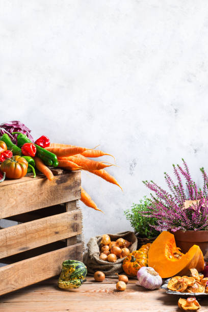 istock Fall autumn decorative festive thanksgiving background with vegetables 860924418