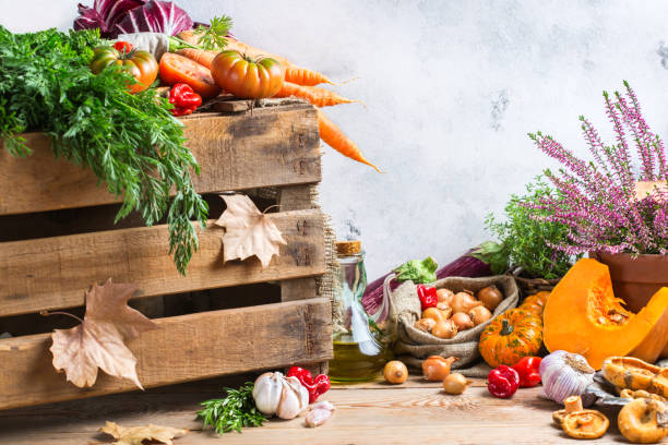 istock Fall autumn decorative festive thanksgiving background with vegetables 860927072