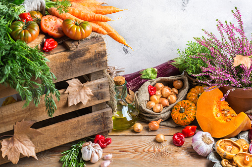 Fall autumn harvest thanksgiving concept. Organic fresh ripe festive vegetables, pumpkins, green thyme and purple flowers on a rustic wooden table