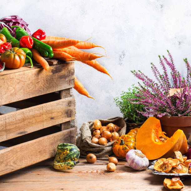 istock Fall autumn decorative festive thanksgiving background with vegetables 860931106