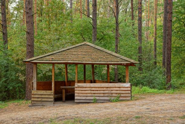 istock wooden brown arbor on a clearing in a pine forest 860933284
