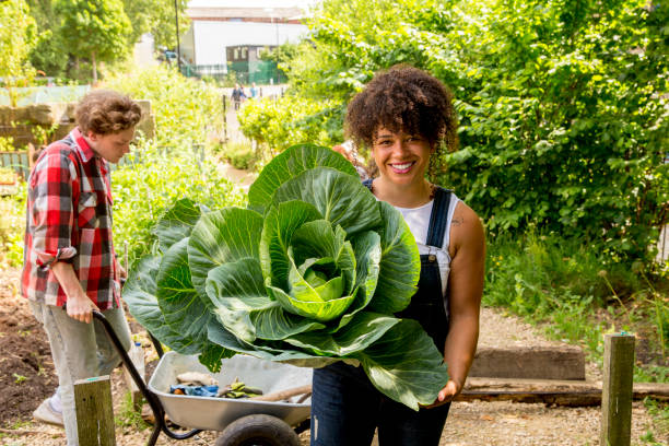 istock Gardening at the Farm 860939762