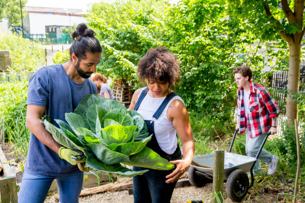 istock Gardening at the Farm 860939816