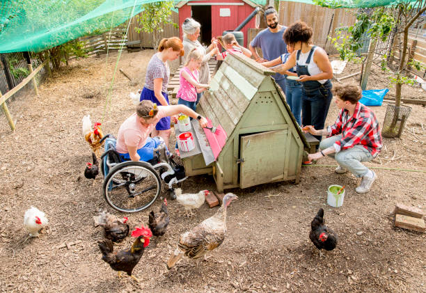 bricolaje en la granja - school farm fotografías e imágenes de stock