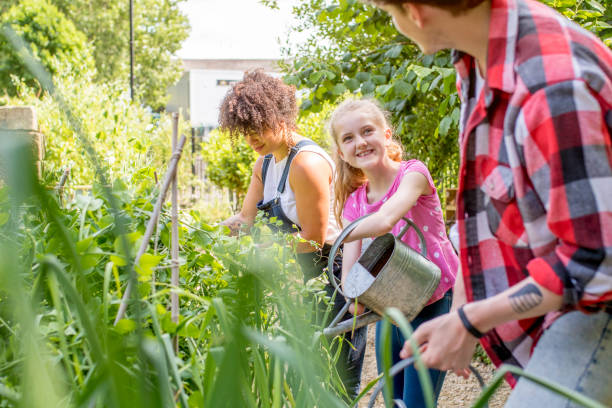 полив растений - school farm стоковые фото и изображения