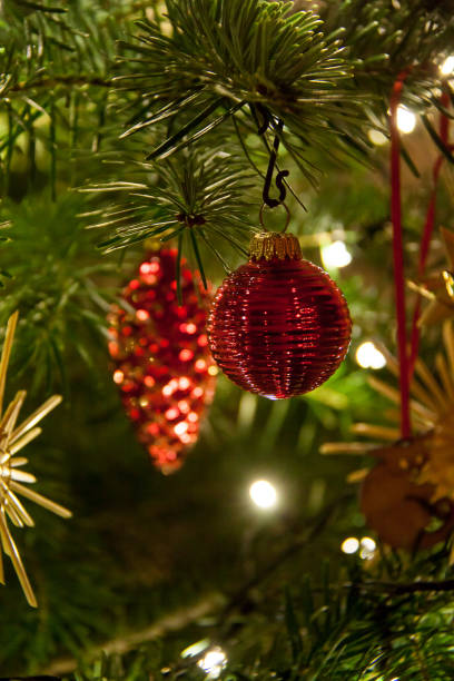 istock Shiny red Christmas Ball hanging on Tree 860940384