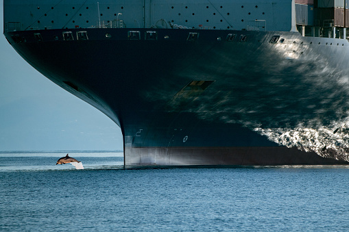 dolphin jumping near big ship bow