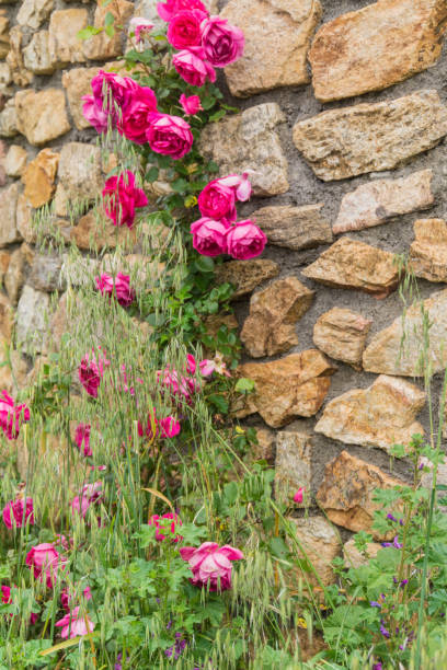 istock laboule,ardeche,france 860951406