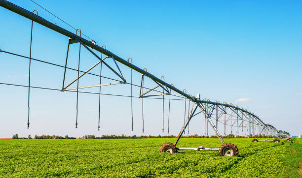 istock Automated farming irrigation system. Agricultural concept 860951554
