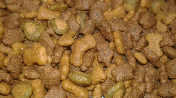 istock FOOD DOGS 860954524