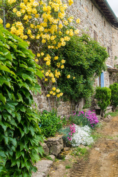 istock laboule,ardeche,france 860959778