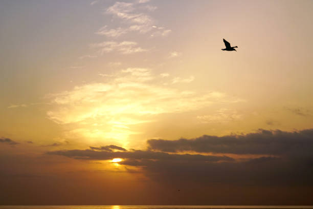 istock The magic of sunrise over the ocean. Atlantic. 860969124