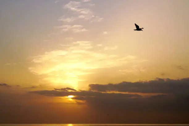 The magic of sunrise over the ocean. Atlantic.