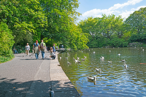 Summer in Ireland,  people enjoy walking around pond while children feed ducks from edge in Saint Stephen's Green.