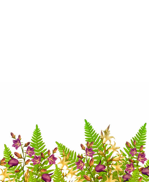 Bright and colorful flowers isolated on white background.
