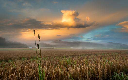 Sunrise over cropland with dramatic clouds and beautiful light