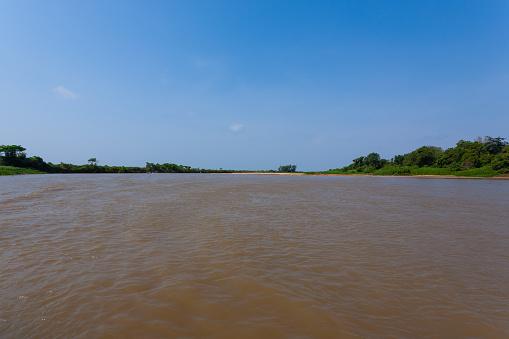 Panorama from Pantanal, Brazilian wetland region. Navigable lagoon. South America landmark