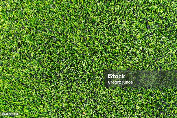 Plastic Grass With Rubber Floor For Indoor Sport Courtyard Stock Photo - Download Image Now
