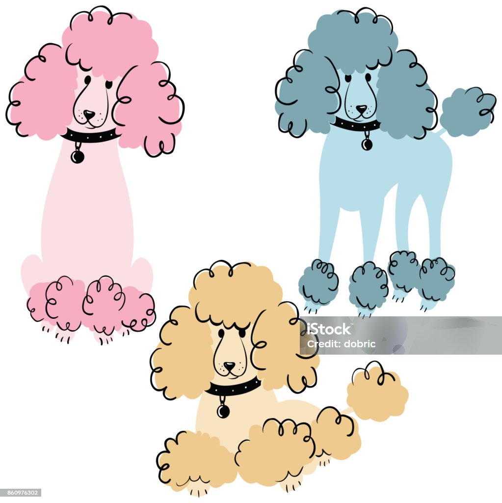 Chiens caniche - clipart vectoriel de Caniche libre de droits