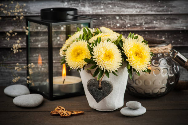 Yellow chrysanthemum in concrete pot with candle, vintage shutters on background
