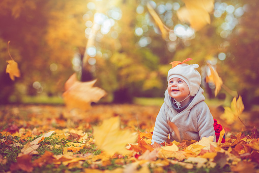 Cute child having fun in autumn park