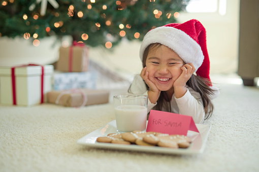 Adorable young ethnic girl wearing an elf hat lays in front of a Christmas tree with a tray of cookies and glass of milk with a sign that says 