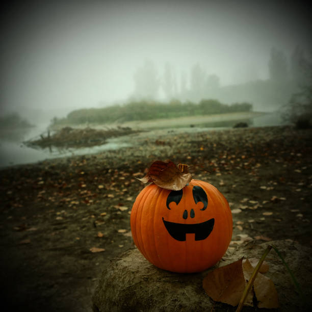 istock Jack O'Lantern in an autumn nature 860985924