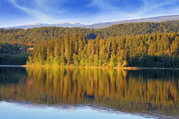 istock The lake is rich with fish 860990558