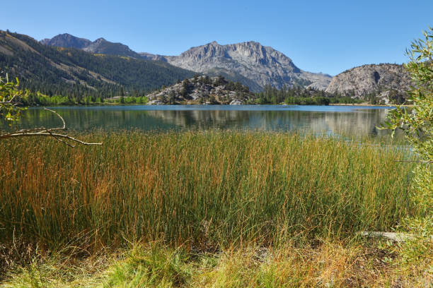 istock Charming lake in California 860990616
