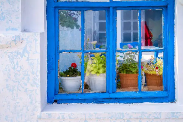 Photo of The old blue window with flowers on the windowsill