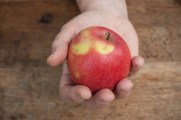 istock red apple temptation concept on wooden table background 860992582