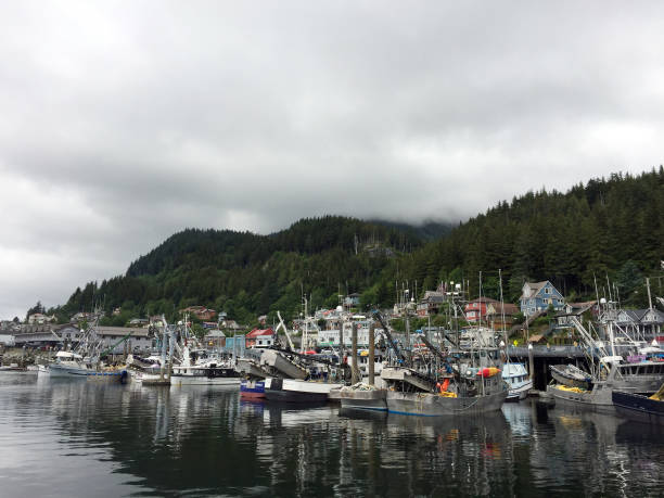 Alaskan Harbor Fishing Boats tied up in the harbor. crabbing stock pictures, royalty-free photos & images