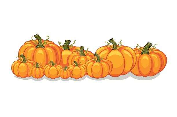 Halloween Vector Pumpkins Horizontal Banner vector art illustration