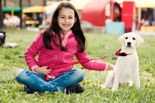 istock Two Buddies Grass Spring Time Season Dog 861007530