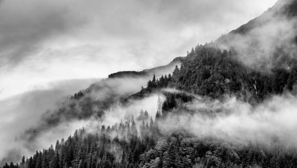 istock mountain with fog in black and white 861007552