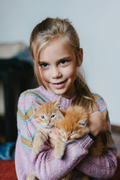 istock Little girl playing with kittens indoors 861008900