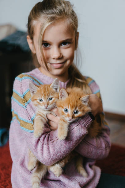 istock Little girl playing with kittens indoors 861008924