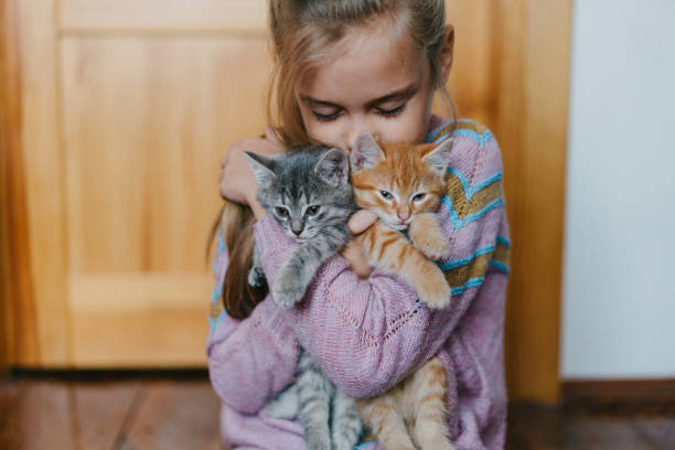 小さな女の子が屋内で子猫と遊んで - beautiful red fur small ストックフォトと画像