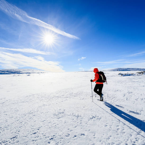 istock Young female trekking during winter in the mountains 861018450