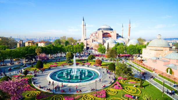 istock Aerial view of Istanbul, Turkey 861020612