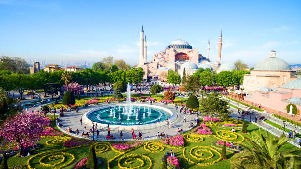 istock Aerial view of Istanbul, Turkey 861020614