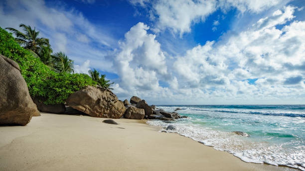 istock paradise beach on the seychelles 12 861026176
