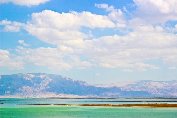 Dead sea stock photo