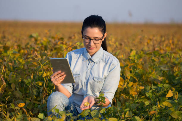 istock Agronomist with tablet in soybean field 861030754