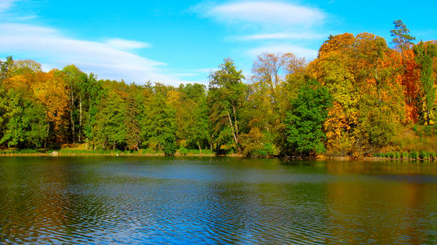 istock the beautiful autumn landscape with river in park 861031414