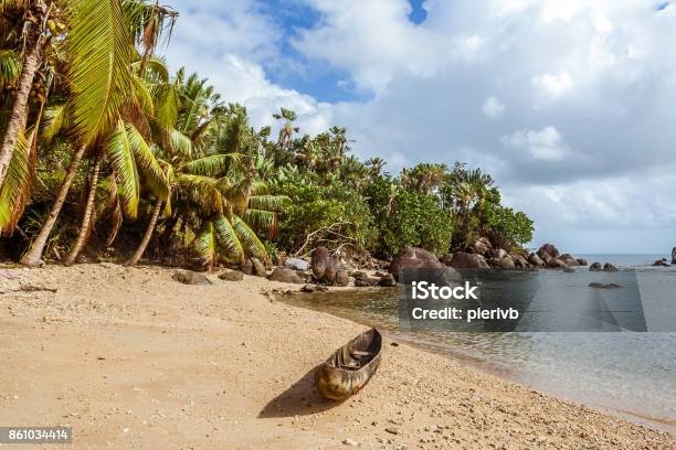 Tropical Wild Beach Stock Photo - Download Image Now - Madagascar, Africa, Animal Wildlife