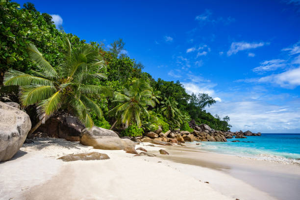 istock paradise beach on the seychelles 9 861034486