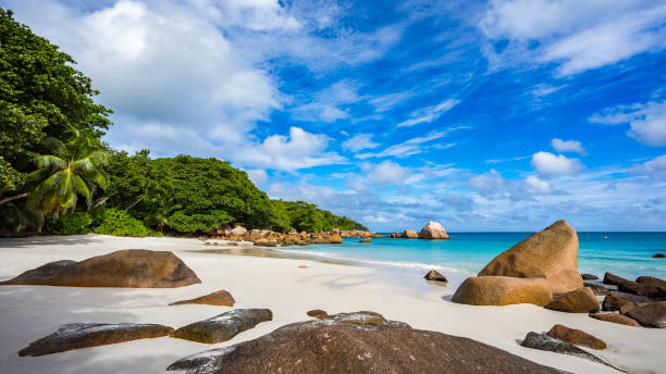 istock paradise beach on the seychelles 16 861040644